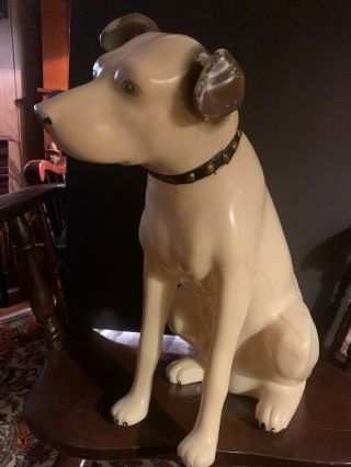 Vintage Rca Victor Nipper Dog 18 " Plastic Store Display Dog Rare