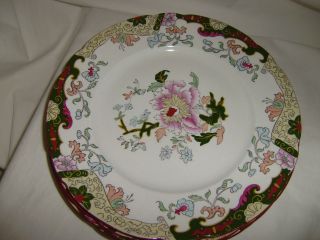 4 Antique Rare ASHWORTH BROTHERS Hanley 9 3/4 Inch Dinner Plates 8876 2