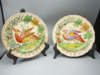Antique 19th Century Chelsea Bird Plates By Samson Paris