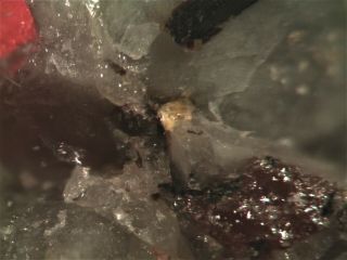 Pepprossiite - Ce Rare Mineral Micromount From Italy
