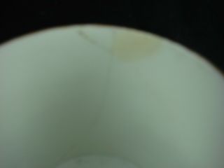 Rare - Antique 19thC Amstel Porcelain Bird Scene Cup & Saucer Porzellan Tasse D 3