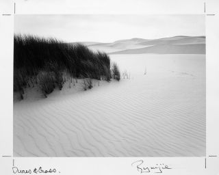 Rare Ryuijie Signed 1989 Dunes & Grass Photograph On 8x10 Paper - Book Print