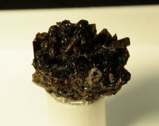Manganvesuvianite Rare Mineral Crystal Aggregate N 