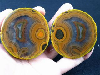 Rough (unpolished) Agate / Achat Nodule Specimen Xuanhua Hebei China.  Very Rare