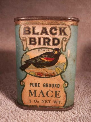 Rare Vintage Black Bird Mace Spice Tin Lau Co Lincoln Ne Nebraska
