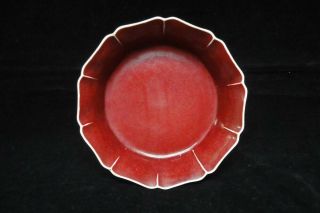 Very Rare Antique Chinese Red Glaze Porcelain Plate Signed " Yongle "