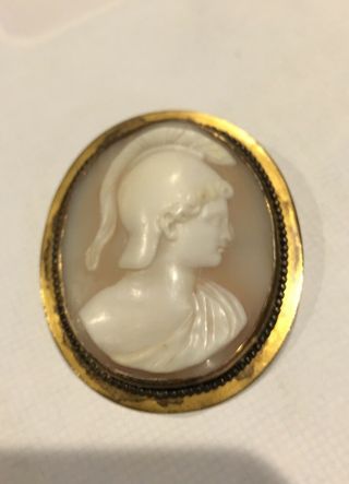Antique Vintage Carnelian Shell Male Cameo/ Pendant Or Brooch / Gold Plated