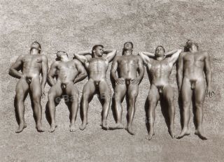 Lp Large 13x18 Cm Old Vintage Male Gay Group Of Nudists Of Men 1960s 6710