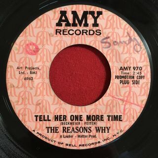 The Reasons Why - Tell Her One More Time / Try And - Amy - Rare Garage 45 Hear