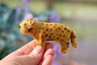 Rare Vintage Antique Miniature German Fur Toy Leopard Terrier Tag Bear