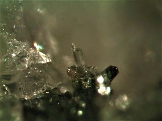 Britholite - Ce Rare Mineral Micromount From Italy