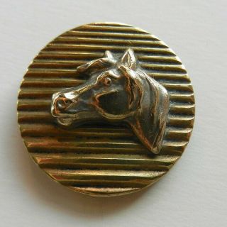 Antique Brass Metal Picture Button Horse Head On Lined Background Paris 1”