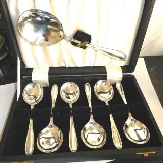 Vintage Box Silver Plate Epns 6 Pudding / Fruit Spoons & Server - Gleaming