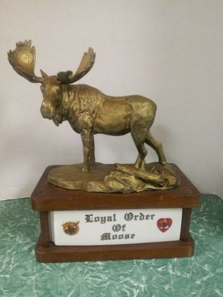 Loyal Order Of Moose Large Whiskey Decanter In Wood With Heavy Metal Moose Rare