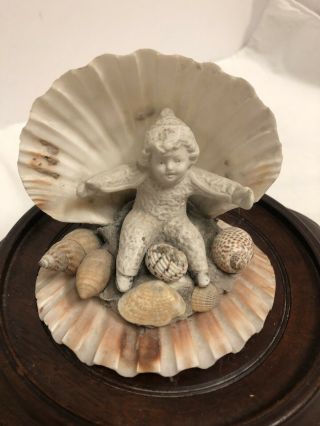 Antique Victorian Sea Shell Art Seashells Snow Baby Figurine