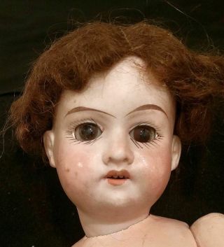 Antique German Doll - 10.  5 " - Bisque Head - Armand Marseille? - Repair Or Parts