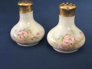 Antique AUSTRIAN Floral PINK ROSES Salt & Pepper Shaker Set Hand Painted 2 1/2 