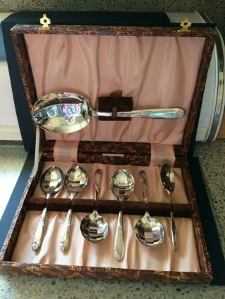 Vintage Angora Silver Plate Company,  Boxed Set Of 6 Fruit Spoons,  Serving Spoon