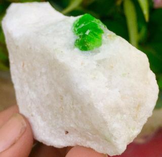 Wow 725 Carats Rare Unique Top Green Color Pargasite Ablite Specimen