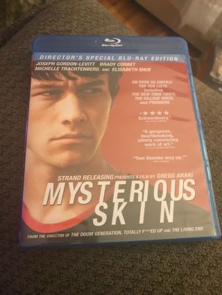 Mysterious Skin (director 