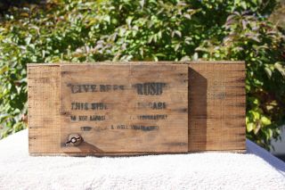 Antique Wooden Bee Box Primitive