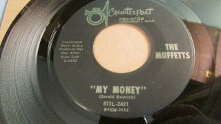 The Muffetts Rare Ohio Garage 45 On Counterpoint Label My Honey B/w Cold Winds