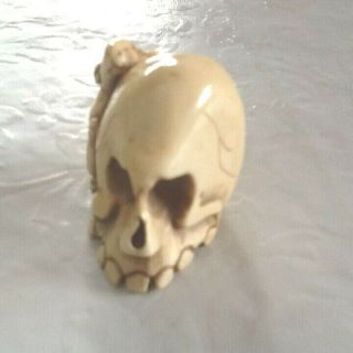 Rare Signed 19 C Japanese Netsuke Of A Cream Colored Mouse Clutching A Skull