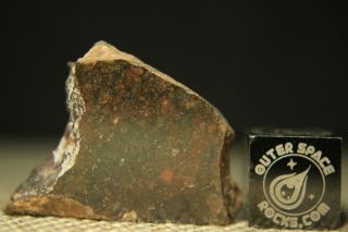 Nwa 10699 Ll (l) 3 Primitive Chondrite Meteorite 3.  8g Part Slice Of Rare Type