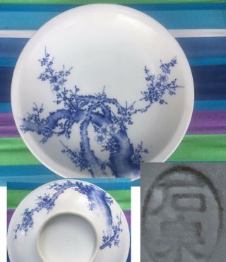 Rare & Fine Antique Japanese Porcelain Bowl Plate Dish Blue Cherry Blossoms Tree