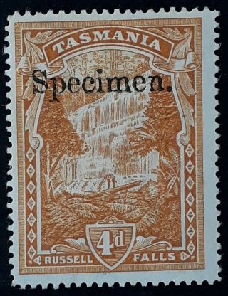 Rare 1900 Tasmania Australia 4d Dp Orange Buff Pictorial Stamp Specimen