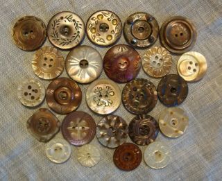 24 Antique Vintage Carved Mother Of Pearl Shell Buttons 7/16 " To 3/4 "