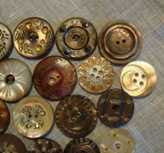 24 Antique Vintage Carved Mother of Pearl Shell Buttons 7/16 