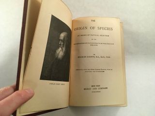 ANTIQUE BOOK CHARLES DARWIN ORIGIN OF SPECIES HURST 2