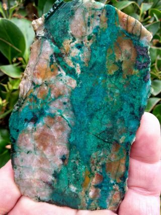 Very Rare Ajo Arizona Ajoite Shattuckite Copper Azurite Malachite Slab 3.  4oz