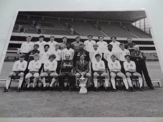 Tottenham Hotspur Fc Spurs 1981 - 82 Rare Press Photograph