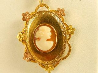 Antique 12k Rose Yellow GF CAMEO PENDANT NECKLACE Art Deco Carved Shell 16 