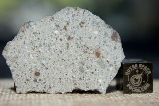 Nwa 8362 Hed Howardite Meteorite 4.  4 Gram (thin) Part Slice Of Rare Achondrite