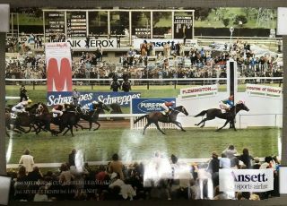 Horse Racing Rare Melbourne Cup Finish Poster From Ansett From 1980 Cup