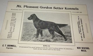 Rare Antique Mt.  Pleasant Gordon Setter Kennels A.  K.  C.  Breeding Trade Card Us