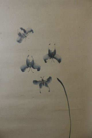 E05a1 Butterflies & Flower Orchid Japanese Hanging Scroll