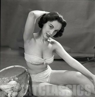 Cherie Kirk 1950s Lovely Bikini Model 2 1/4 Camera Negative Peter Basch