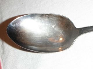 1894 Antique Sterling Silver Spoon 36.  8g Towle Silversmiths - Shell (18) 2
