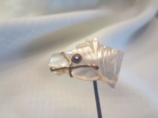 Fabulous Antique Victorian Carved Mother Of Pearl Figural Horsehead Stick Pin