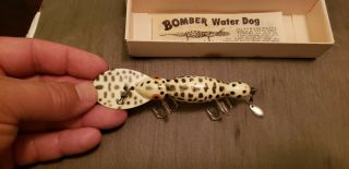 Vintage fishing lure bomber waterdog.  In Correct Box. 2