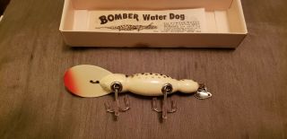 Vintage fishing lure bomber waterdog.  In Correct Box. 3