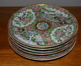 Rare Antique Set Of 6 Chinese Rose Medallion Enameled Serving Plates - W/gold