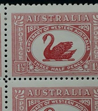 Rare 1929 Australia Blk 4X 1/2d Dull Scarlet Cent of WA stamps var Re - entry 3