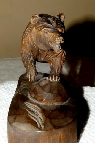 Antique Black Forest Style Wood Carved Bear