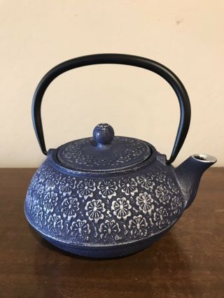 Japanese Cast Iron Teapot Kettle Pot Blue With Silver Flowers