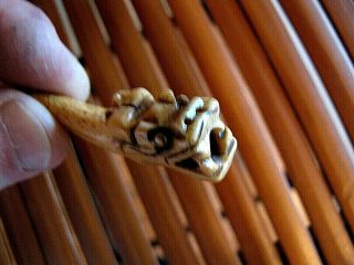 ANTIQUE CHINESE HAND CARVED WATER BUFFALO BONE DRAGON HEADED TOOTH PENDANT 2